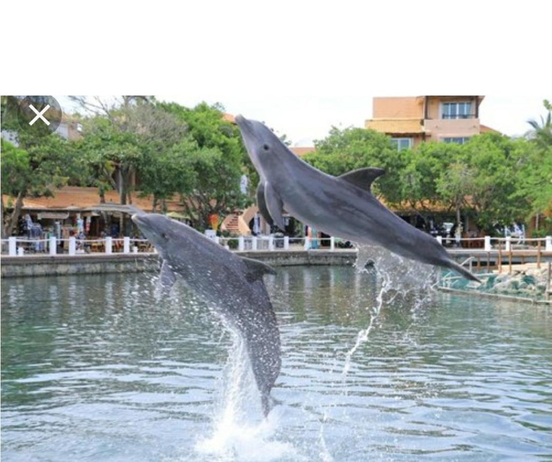 Apartamento Casa Delfìn Puerto Aventuras Exterior foto